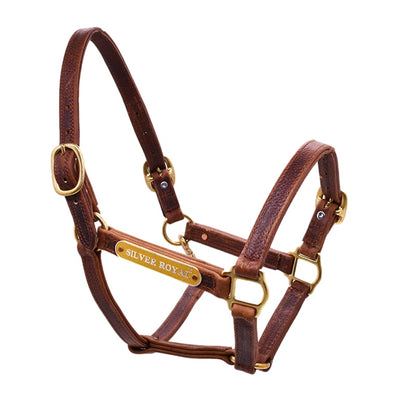 Wholesale High Quality Horse Headcollars Manufacturer, Horse Equipment