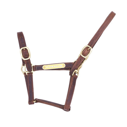 Wholesale High Quality Horse Headcollars Manufacturer, Horse Equipment