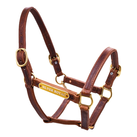 Wholesale High Quality Horse Headcollars Manufacturer, Horse Equipment