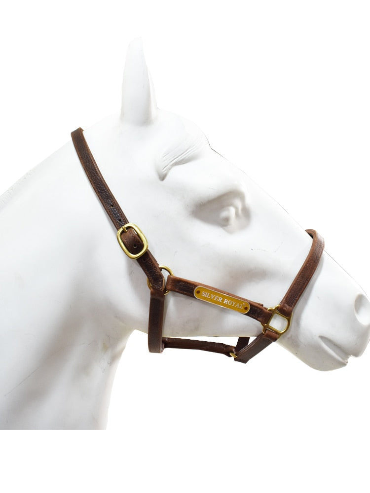 Wholesale High Quality Horse Headcollars Manufacturer, Horse Equipment