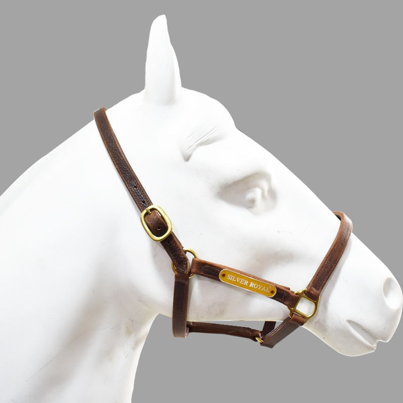 Wholesale High Quality Horse Headcollars Manufacturer, Horse Equipment